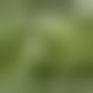 Meet your Posher, Adriana